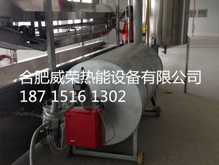 油炸爐導(dǎo)熱油爐